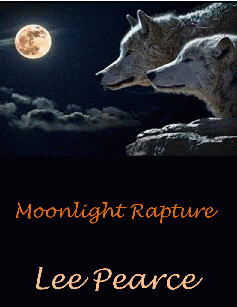 Two wolves lying on cliff overlooking a moonlit night.